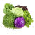 鹿凌青蔬菜沙拉组合4斤新鲜混合蔬果色拉生吃食材健身轻食套餐生菜沙拉 6种沙拉蔬菜组合4斤 10包沙拉酱