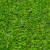 共泰 仿真草坪 翠绿小草30针单背胶 场地铺设草坪地毯装饰园林绿化 25*2M