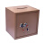 飓程 存储设备 小型保险箱 保险柜保管箱 45*35*30金色 单位：个