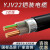 YJV22国标铜芯铠装电缆2芯4/6/10/16/25平方户外工程地埋电线缆 YJV22国标2*6