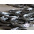 稳东定制电工穿线钢丝硬黑弹簧钢丝电梯井道放样丝拉线钢丝单线钢丝细 1斤0.6mm(一公斤约600米)