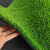 中科港 仿真人造草坪 塑料地毯假草皮庭院阳光房隔热围挡户外室内幼儿园操场装饰 绿底25mm 50平方
