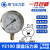定制上海亿川YE100膜盒压力表0-6162560KPA天然气燃气表千帕微 YE100(0300kpa)