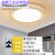 客厅灯LED吸顶灯圆形简约现代卧室灯餐厅阳台走廊厨房间过道灯具 圆鸟巢80cm三色72w