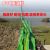 JESERY围油栏轻型固体浮子式水面橡胶拦污带围拦油带 绿色PVC-450 10米