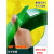 PET塑钢打包带1608净20kg无纸心绿 色透明手工塑料捆扎包装带 红色 160810公斤 约650米