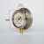 REFCO威科油表空调制冷机组冷媒压力油表不锈钢立式 MR-306-DS-MULTI-35BAR-HS