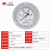 红旗仪表氧气专用YO-100ZT轴向带边氧气压力表禁油压力表测氧专用 0-2.5MPA