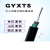 GYXTS-8b1.3单模光纤一圈钢丝铠装4/6/12芯室外林区鸟啄防鼠光缆 GYXTS-6芯