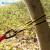 SHANDUAO 户外扁带环 攀岩登山装备 承重扁带绳 耐磨保护带SD289 黄色双边30cm