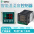 WSKZ温湿度控制器智能数显防凝露温度控制器高压配电柜除湿220v 温湿度WSKZ基座式)485通讯