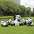 黛博拉玻璃钢几何熊猫雕塑抽象块面动物小品园林装饰品户外景观草坪摆件 趴姿转头