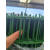 铁丝网围栏绿色包塑硬塑果园菜园隔离防护防鼠塑料养殖拦鸡网 3厘米孔15米高18米长22mm粗22斤草绿色墨绿