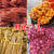 适用于网袋子纱网袋网兜装红薯地瓜苹果山药红色黄色编织塑料网眼 黄色18*40 承重约4斤 100个