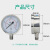 不锈钢耐震压力表100mm油水气液压真空耐高温腐蚀 M20*1.5 0-0.1MPa