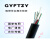 GYFTZY-24B1.3室外管道光纤4/8/12/16/48/96/144芯非金属阻燃光缆 GYFTZY-4芯