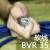 上上电线电缆国标BVBVR10 16 25 50 70 95平方铜芯家装单芯 软BVR 10 (卷)