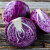 美邻惠享家山东新鲜紫甘蓝紫包菜球5斤装轻食沙拉蔬菜源头直发