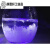 定制天气瓶材料diy风暴瓶幼儿园小学生科学实验器材小道具礼物 色素葡萄紫一份(0.5ml)