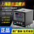 上海亚泰NE-6411-2仪表温控器NE6000-2温控仪NE-5411数 NE64112(N)P=0 报警常闭