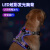洛马斯发光LED发光狗狗牵引绳背心式胸背带遛狗小狗大中型犬狗链子宠物 紫色 M-建议体重15-24斤
