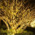 太阳能灯串满天星户外树灯景观灯缠树灯带绕树灯太阳能树灯装饰灯 树灯-太阳能款-暖光-100灯-12米