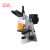 BM上海彼爱姆荧光显微镜BM-19AY（三目、落射）