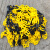 万蜂展塑料警示链条红白塑料链条路锥链条隔离链子挂衣服黄黑色链条 6MM粗红白(1米长的价格
