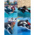 南旗游泳池漂浮玩具坐骑儿童游泳圈可坐水上乐园充气超大冲浪海豚虎鲸 羊驼 送打气筒+手机防水袋