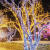 挂树上的彩灯闪灯串灯满天星户外缠树灯led彩灯串圣诞树灯带装饰 彩色 20米200灯插电款