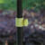 安路冠 户外遮阳伞 防晒防雨沙滩伞太阳伞庭院伞广告伞大型伸缩雨伞2.2m加厚布+加粗架46寸(不含底座)