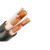 欧知联电线电缆ZC-YJV4*50+1*25平方国标铜芯电力电缆硬线1米 0.6/1KV 聚乙烯