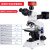 柏达通4K金相显微镜三目电子高清2K工业相机专业放大拍照测量芯片检测10 BH200金相显微镜+2K测量相机