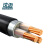 沈迈 ZC-YJV22-0.6/1KV-3*6mm² 国标铜芯阻燃铠装电力电缆 1米