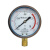 YN100耐震压力表真空表抗震防震油压液压表0.6 1 1.6MP 0-0.6MPA/80PSI