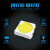伊莱科（ELECALL）LED七彩灯带 RGB变色遥控灯带 5050-60珠 100米