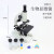 湛京牌02040生物显微镜单双目200X/500x/640X/1000X高清带光源标尺小学科学实验仪 640生物显微镜