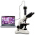 江西凤凰显微镜PH50-3A43L-A双目光学生物1600倍1精子水产养殖 7寸显示屏/不含仪器 非凤凰