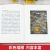 悦读经典彩虹书大家书系7册祖父的园子北京的春节阿长与山海经 故乡的杨梅