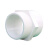 卓炫（ZHUOXUAN)   PVC给水管件 外螺直接 外丝直接 pvc管材 Φ63(10个装)