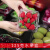一次性水果盒 超市一次性水果包装盒透明塑料盒水果500M水果店一 2217H6黑色约2斤装-100个