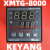日曌松川瑞普华包装机温控器XMTG-8000 B8181AM1 B8081AM温控定制 XMTG-B8181AM K型