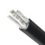 2-5芯铝芯电力电缆线10/16/25/50平方铠装铝线电线三相四线地埋线 国标3*10平方(10米)