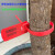 定制加长园林塑料封条一次性围树绑扎带苗木记号标签标识锁扣50CM 绿色