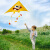 飞尔顿FED运动风筝潍坊大型成人儿童户外玩具镂空轮微风易飞+线轮
