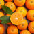 格沃斯（GEWOSI）【超甜】新鲜夏橙现摘橙子当季水果手剥甜橙脐橙 实惠中果带箱9.5-10斤