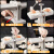 GUIG日本全自动包饺子神器最新款电动家用新款机器一体小型做水饺专用 饺子模具8只装颜色随机