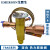 原装EMERSON艾默生热力膨胀阀TRAE-8-10-12-15HCA空调热泵双向R22 TRAE10HCA (接口16*22)