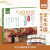 文化中国英语学习绘本翼渡英语分级阅读系列经典儿童历史知识故事 小学英语中阶下一盒6本(适