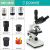 XSP-36-1600X 双目专业光学 生物显微镜学生实验检测养殖 XSP36TV2000倍（三目不含屏）
